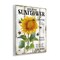 Stupell Industries Organic Sunflower Farm Wall Plaque Art Design by Creatif Belle